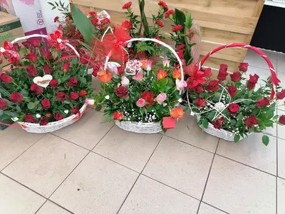 Kwiaciarnia Maciejka tczew